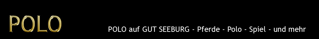 polo_header