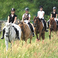 reiten02