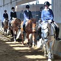reiten03