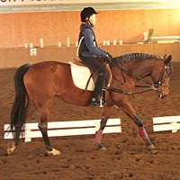 reiten05