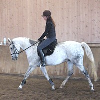 reiten06