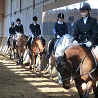 reiten07