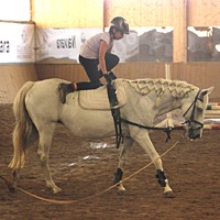reiten09