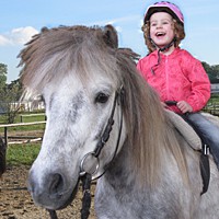 reiten14