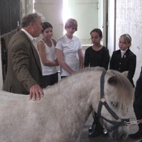 reiten17