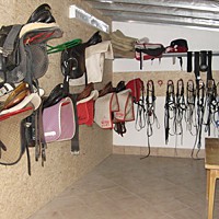 reiten25