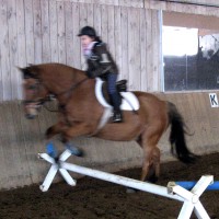 reiten26