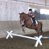 reiten35