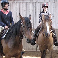 reiten38