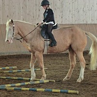reiten39