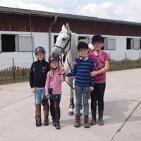 reiten_neu_klein_2